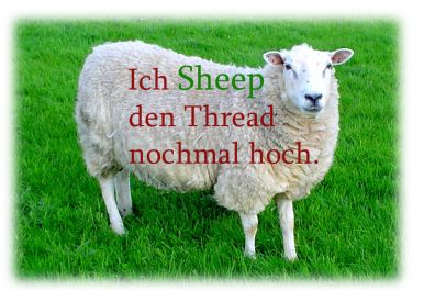 ich_sheep_den_thread.jpg