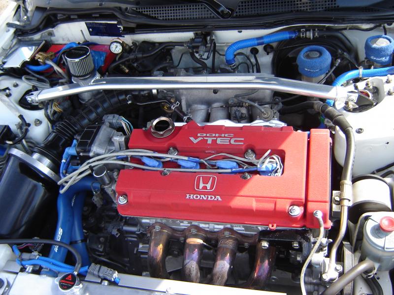 AVB Asian Nationals 2006