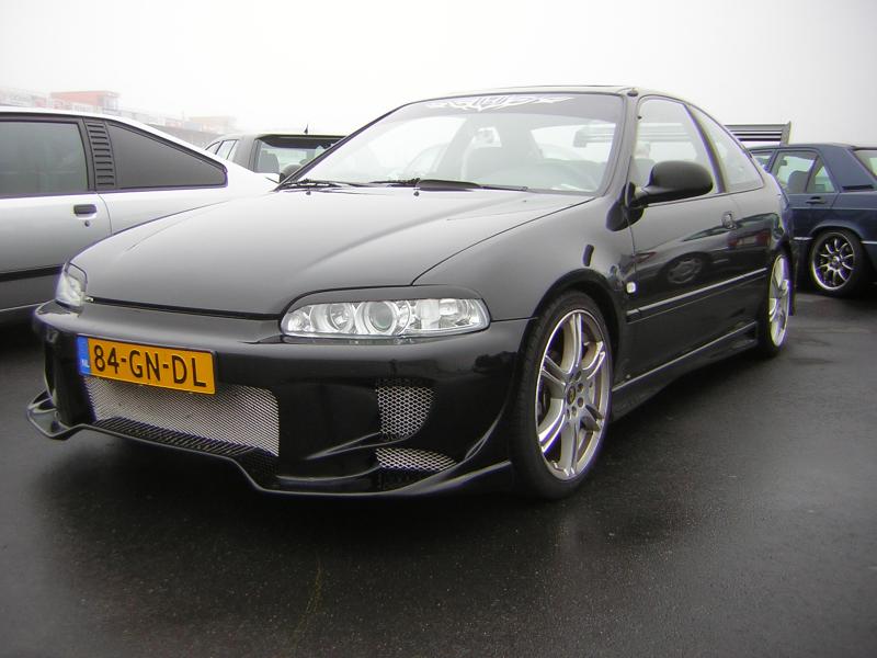 Toyo 2005