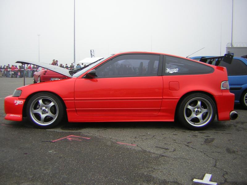 Toyo 2005