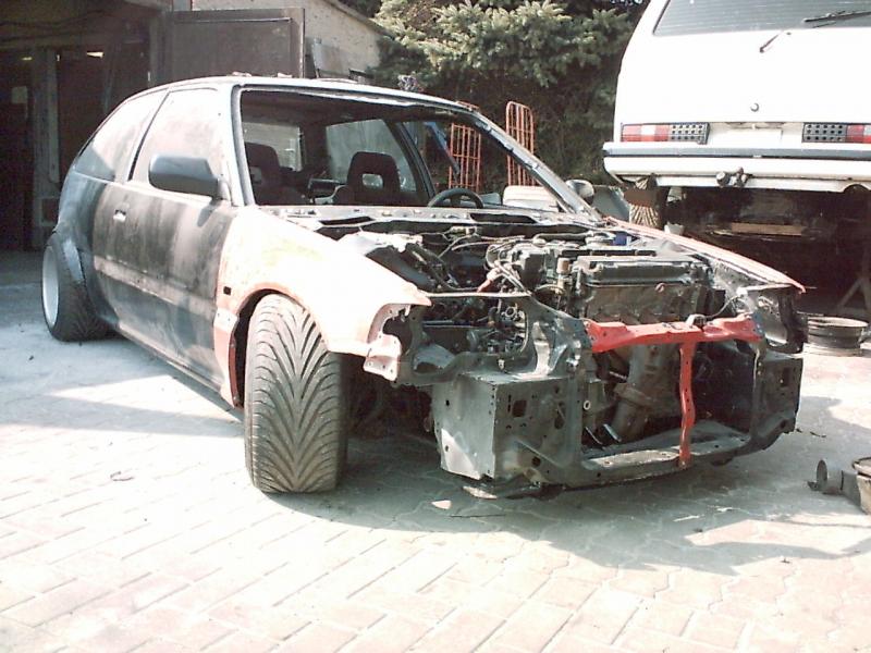 moses seiner!!!!!!!!!!!!!!!!!