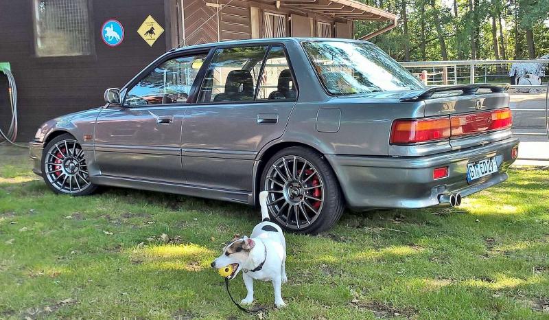 Wieder fertig im Mai 2019