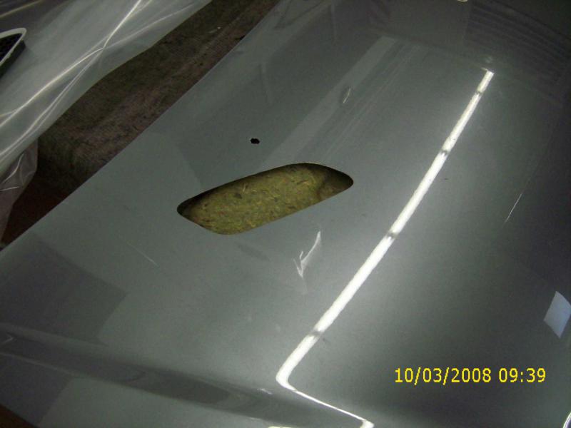 Zweite Motorhaube mit M3 Ausschnitten: