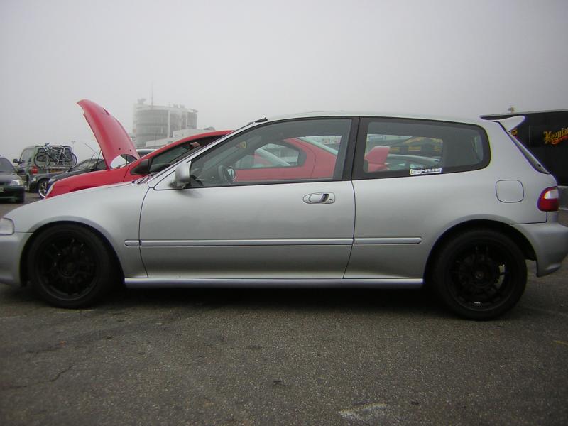 Toyo 2005