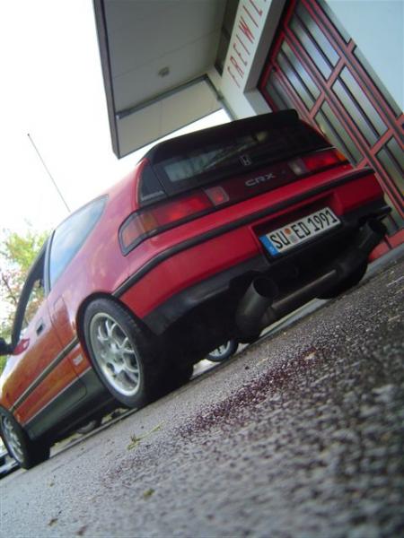 mein Crx Stand 09.05 Heck