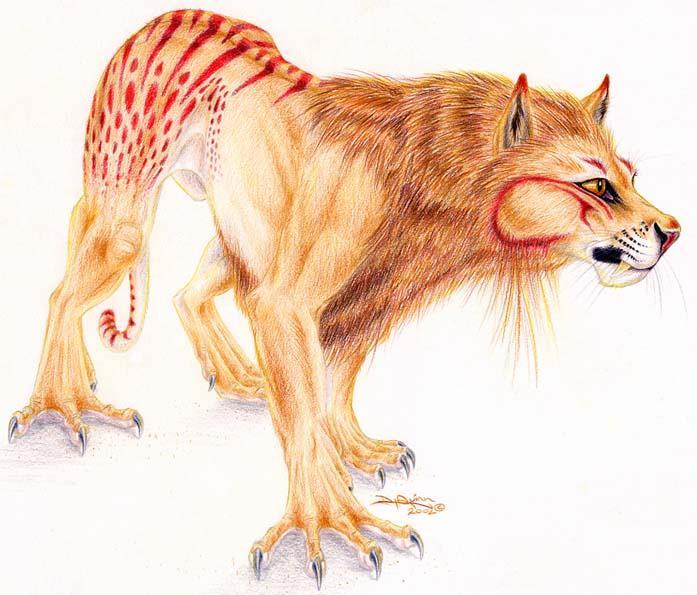 CatDog