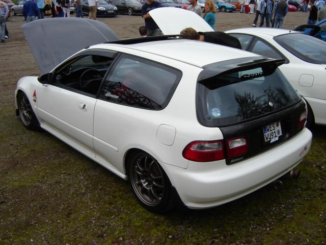 1st Import Day