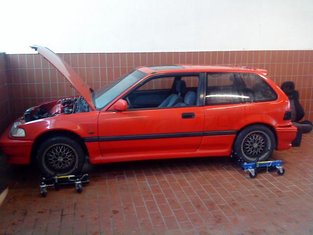 the beast