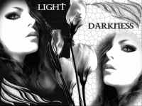 Sig mach mal civic Dark and Light