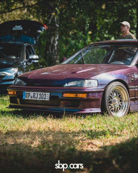 Purble crx
