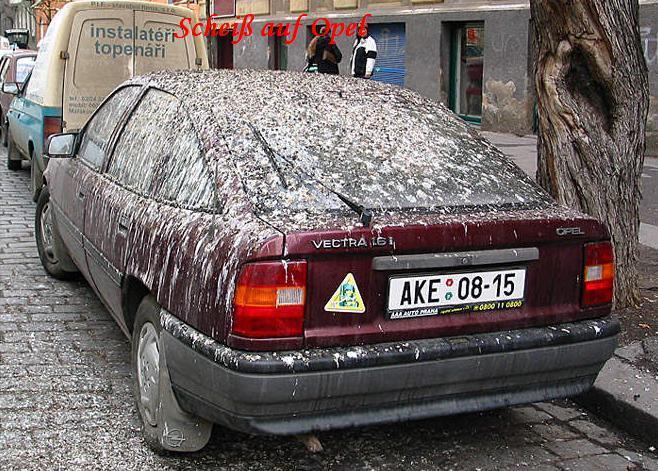 ScheiÃŸ auf Opel