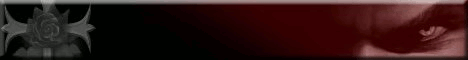 sig glitzerexplo