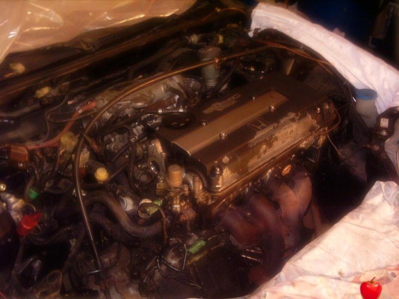 Motorswap ED9D16Z5 auf EE8 B16A1V-tec Motor