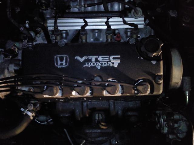 eg5