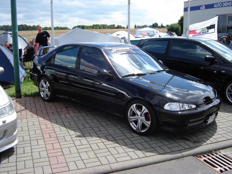 B31