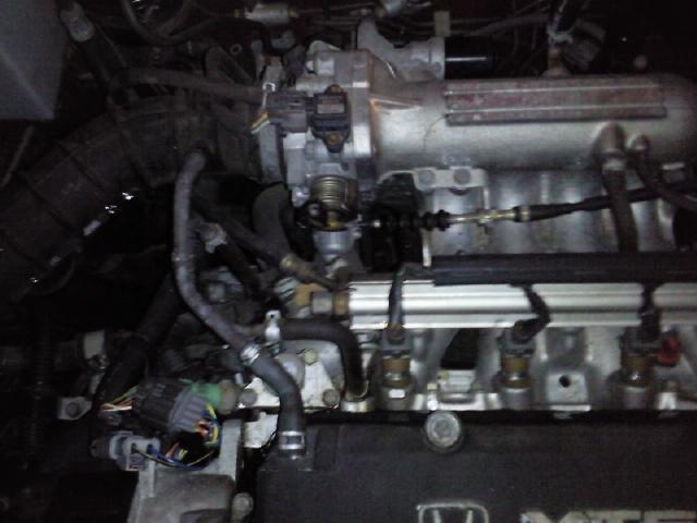eg5