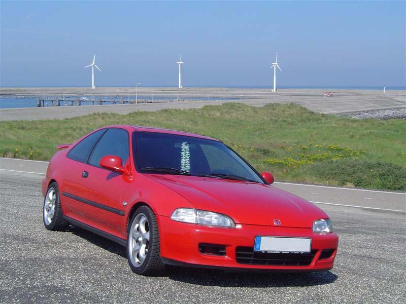 Holland 2005