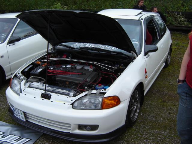 1st Import Day