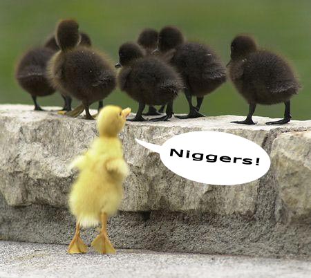niggers.jpg