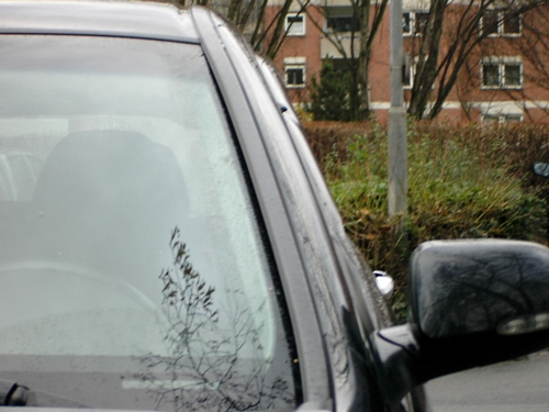 Kopie von DSCI0002.JPG