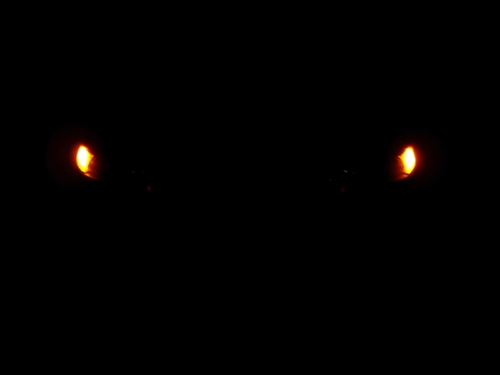 Kopie von DSCI0013.JPG
