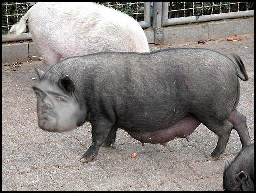 hängeknecht.jpg