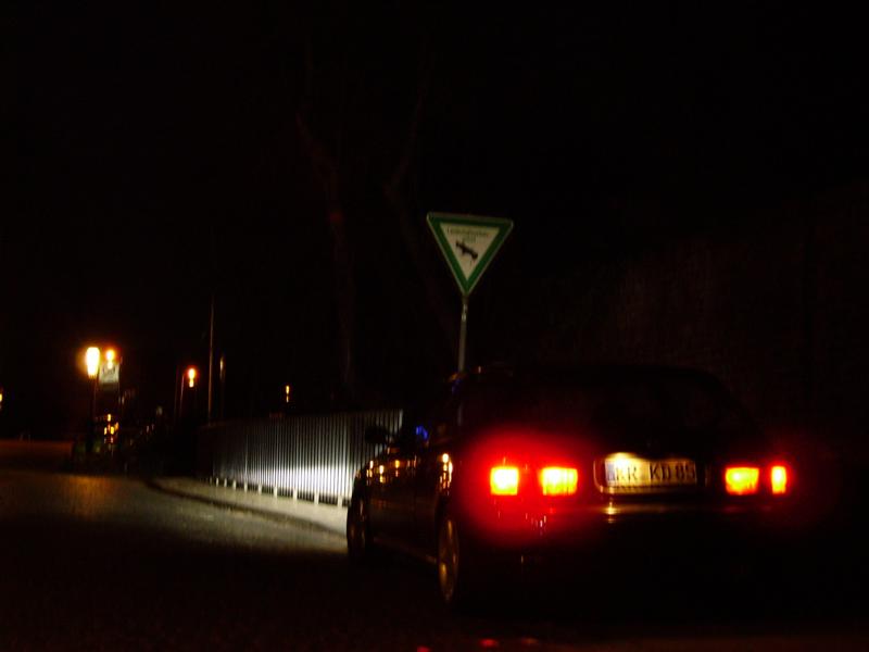 Bild 002 (Medium).jpg