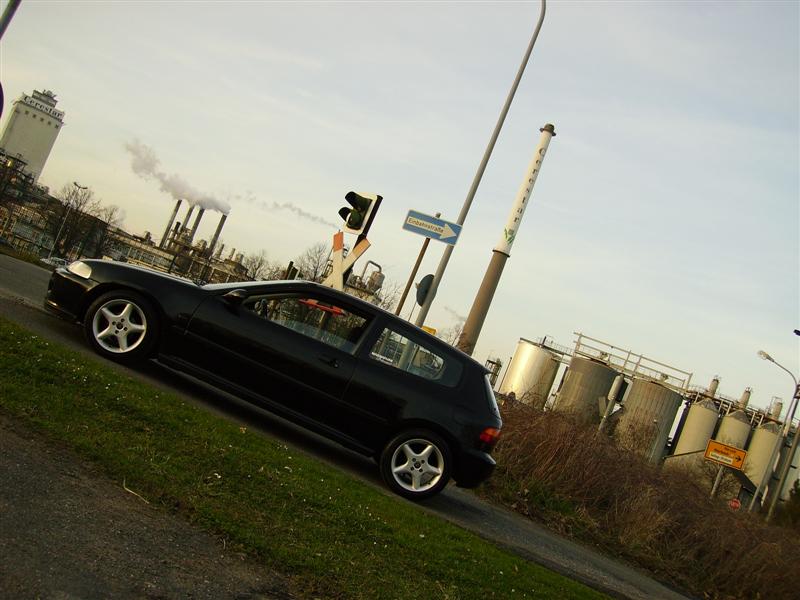 Bild 010 (Medium).jpg