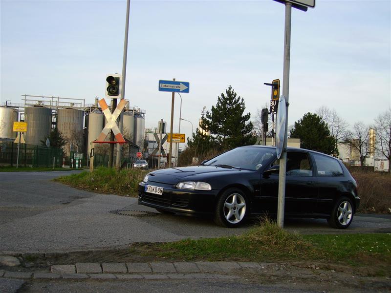 Bild 011 (Medium).jpg