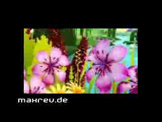 honda_commercial.wmv