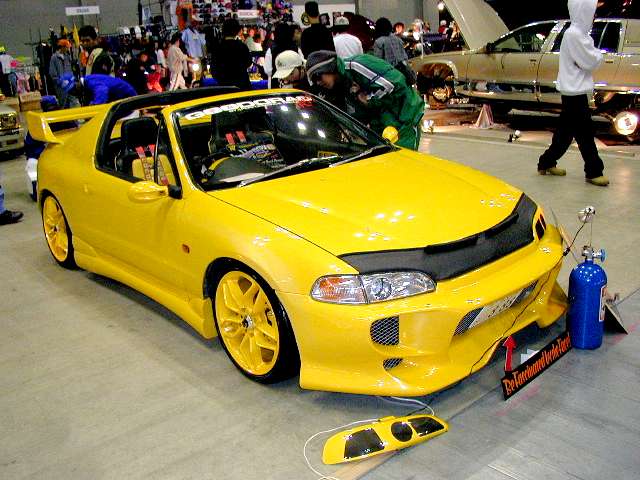 yellowjapanese0.jpg