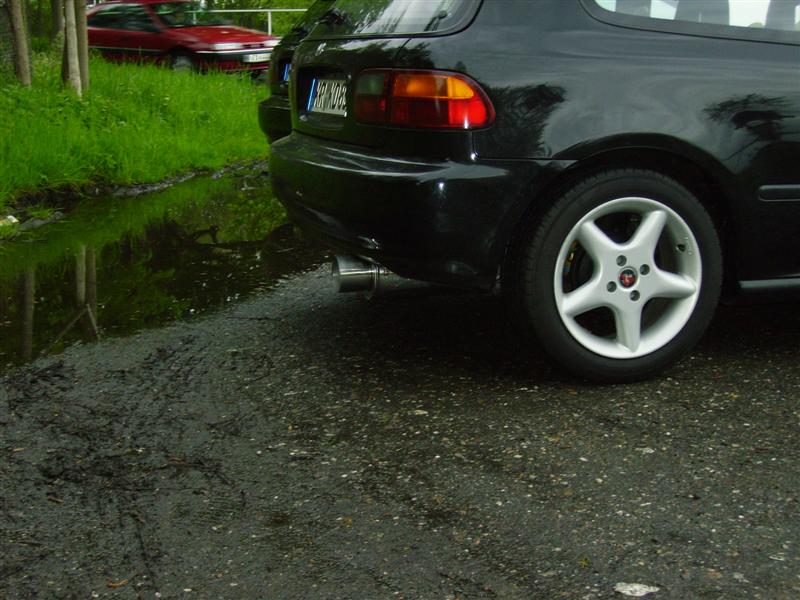 Bild 003 (Medium).jpg
