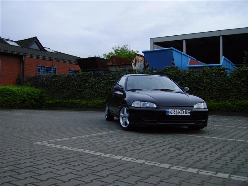 Bild 005 (Medium).jpg