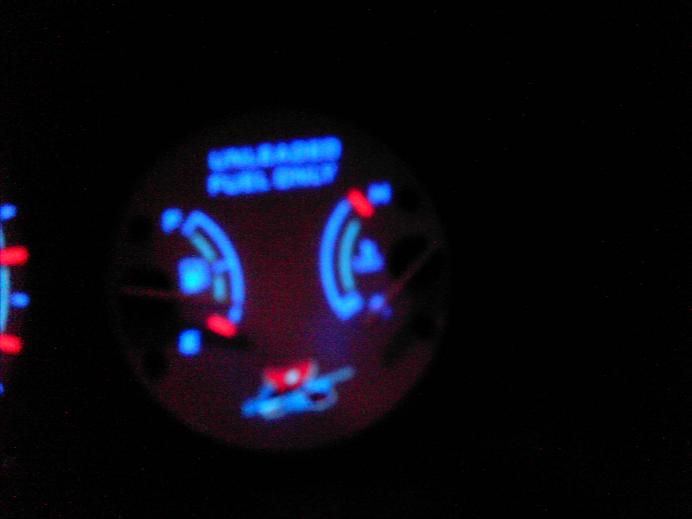 IMAG0048.JPG