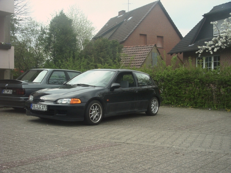 IMAG0095a.jpg