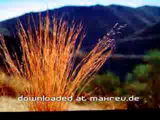honda_dragonfly.wmv