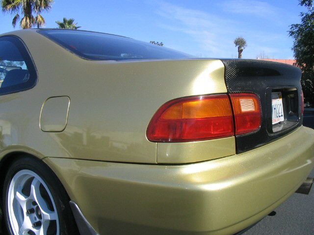 Picture078.jpg