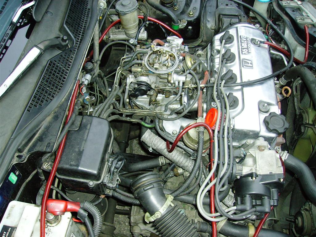 Bild 004 (Large).jpg