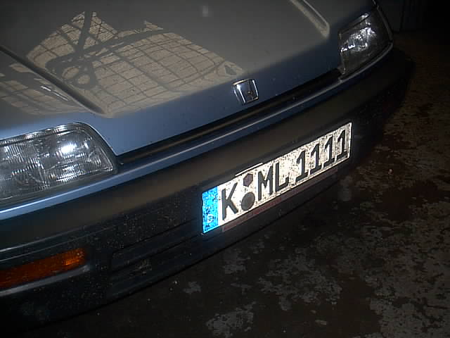 edlimo.jpg