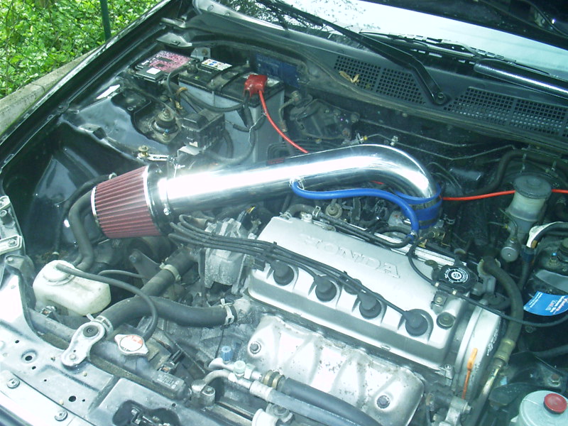 IMAG0017.JPG