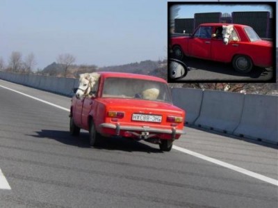 auto3.jpg