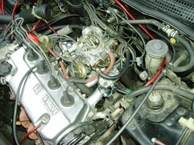 Bild 002 (Large).jpg