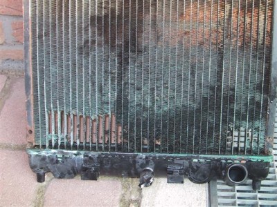 IMG_2167 (Small).JPG