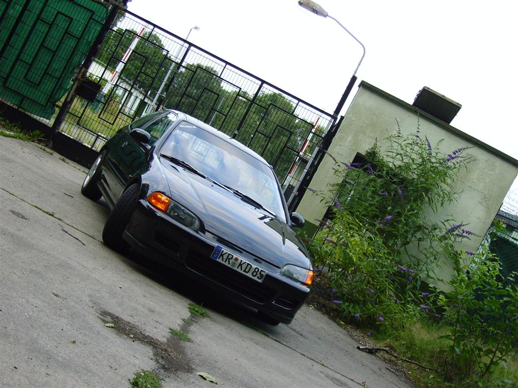 Bild 010 (Large).jpg