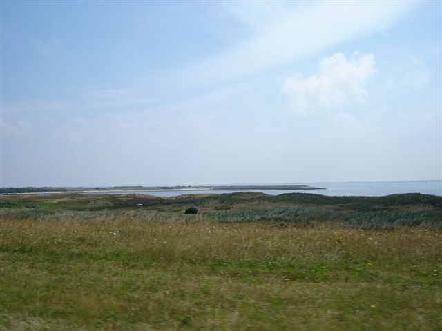 pics 068.jpg