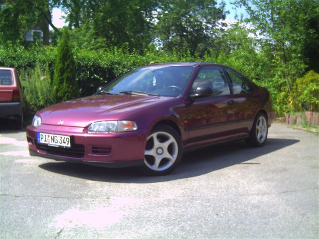 PICT0005.JPG