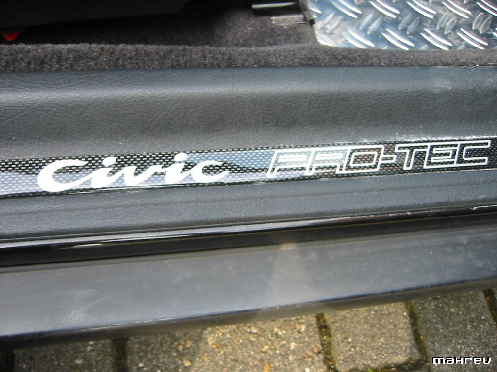 137-3732_IMG.JPG