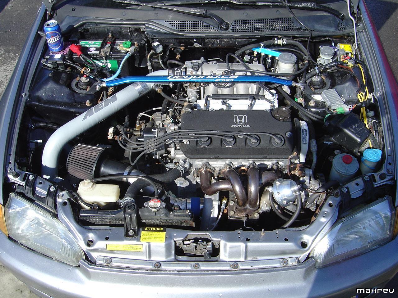 EG14.jpg
