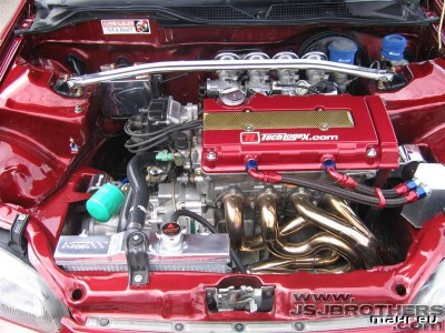 IMG_2464_Medium.jpg