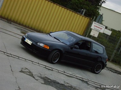 Bild 006 (Medium).jpg